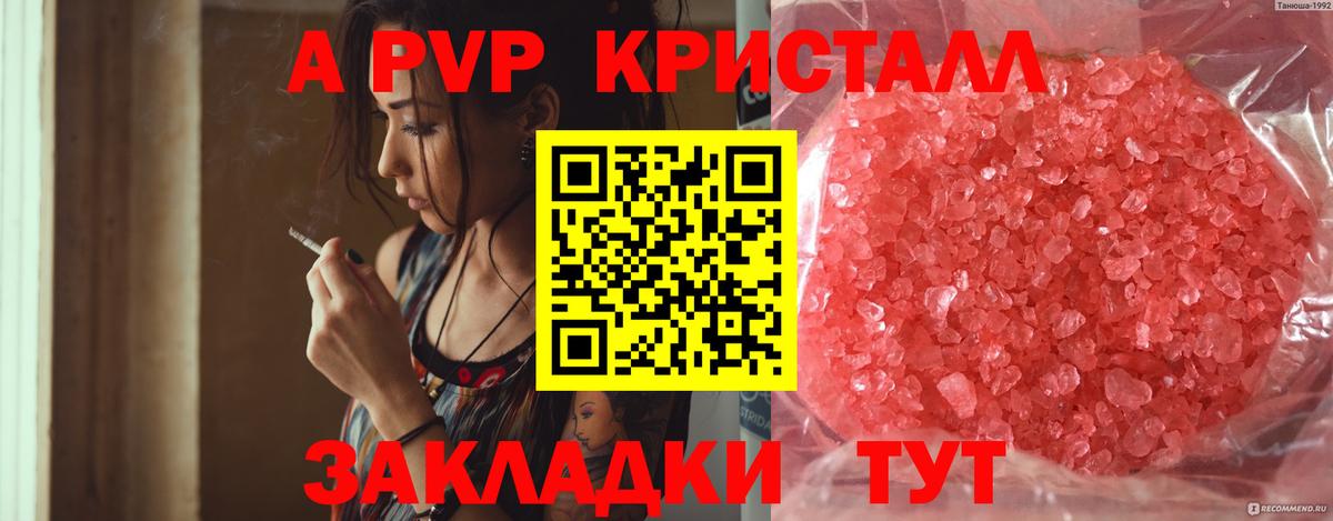Альфа ПВП СК Псков