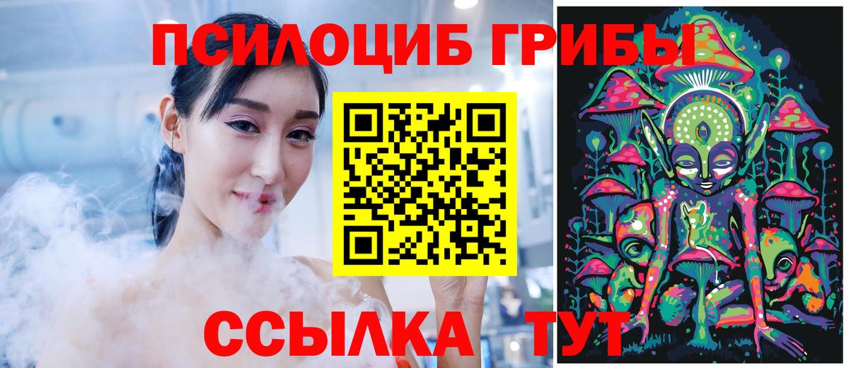 Псилоцибиновые грибы Cubensis Псков
