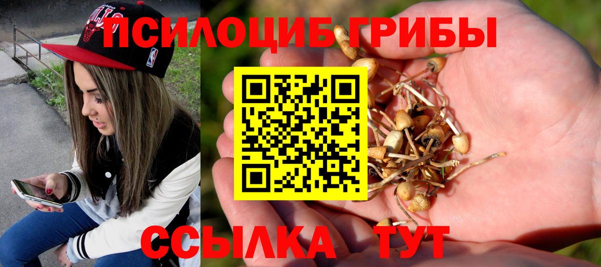 Галлюциногенные грибы Cubensis  дарнет шоп  Псков  Вход с VPN 